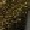 635 Gold