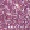331 Blink Pink