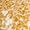 Gold Flash