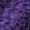 615 VIOLET