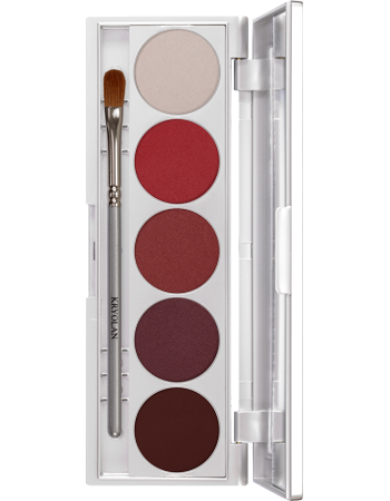 KRYOLAN SHADES 5 COLORS TOKYO PALETA 5 CIENI DO POWIEK