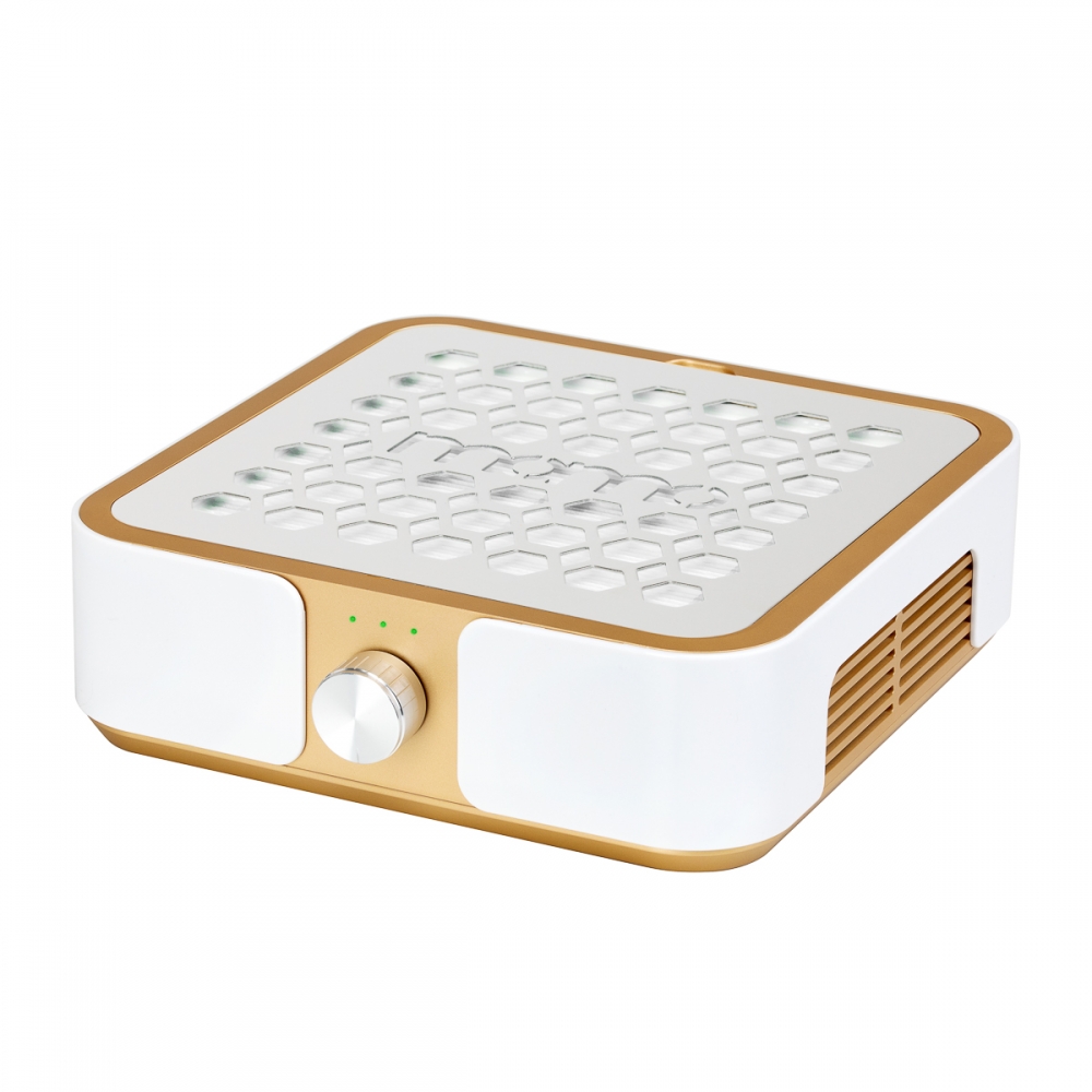 Pochłaniacz pyłu MOMO P30 60W złoty (155497)