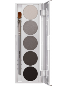 KRYOLAN SHADES 5 COLORS BERLIN PALETA 5 CIENI DO POWIEK