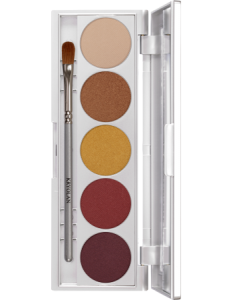 KRYOLAN SHADES 5 COLORS MEXICO CITY PALETA 5 CIENI DO POWIEK