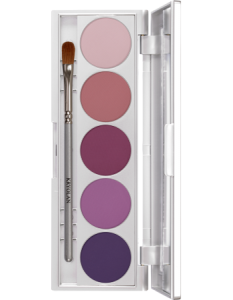 KRYOLAN SHADES 5 COLORS PARIS PALETA 5 CIENI DO POWIEK