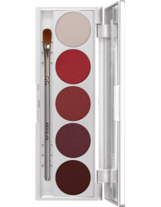 KRYOLAN SHADES 5 COLORS TOKYO PALETA 5 CIENI DO POWIEK