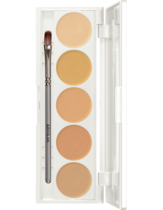 KRYOLAN DERMACOLOR CAMOUFLAGE CREME QUINTET DQ1 PALETA 5 KAMUFLAŻY