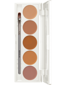 KRYOLAN DERMACOLOR CAMOUFLAGE CREME QUINTET DQ2 PALETA 5 KAMUFLAŻY