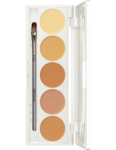 KRYOLAN DERMACOLOR CAMOUFLAGE CREME QUINTET DQ3 PALETA 5 KAMUFLAŻY