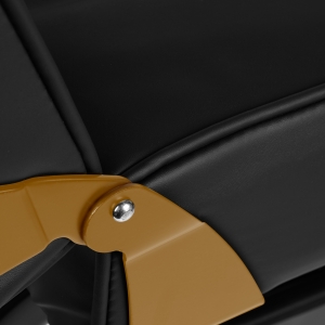 Fotel kosmetyczny 557G z kuwetami złoto czarny  (147250)