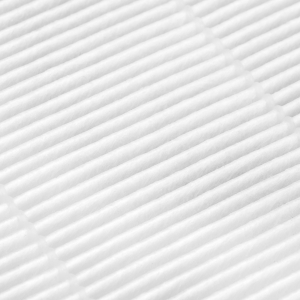 Saeyang pochłaniacz pyłu Marathon Olimp 65W (148025)