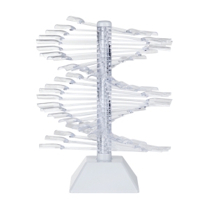 Wzornik do lakierów pionowy 60 szt. WZ23 (144345)