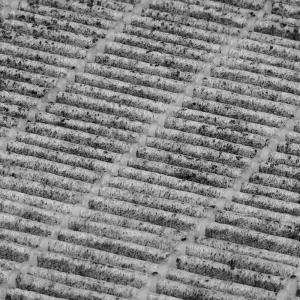 Filtr kasetowy do pochłaniacza pyłu Momo J-02 węglowy (123582)