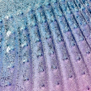 Pędzel do odpylania Muszla (147278)