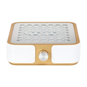 Pochłaniacz pyłu MOMO P30 60W złoty (155497)