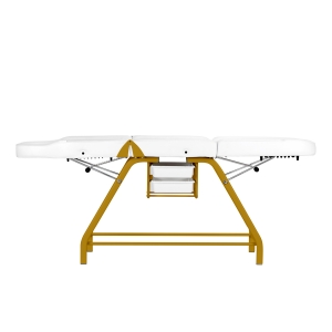 Fotel kosmetyczny 557G z kuwetami złoto biały  (147251)