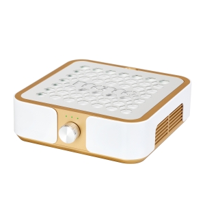 ACTIVESHOP Pochłaniacz pyłu MOMO P30 60W złoty (155497)