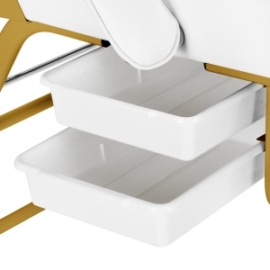 Fotel kosmetyczny 557G z kuwetami złoto biały  (147251)