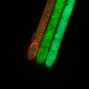 ELECTRO PRINCESS - PYŁEK DO ZDOBIEŃ