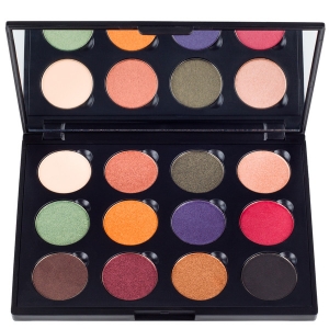 COASTAL SCENTS FALL FESTIVAL PALETTE PALETA CIENI