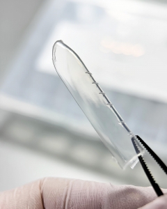 DARK BY RIOR FORMY GORNE UNIVERSAL